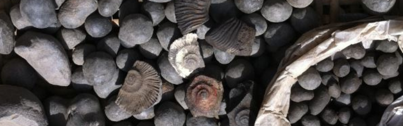 Shaligram stone uses