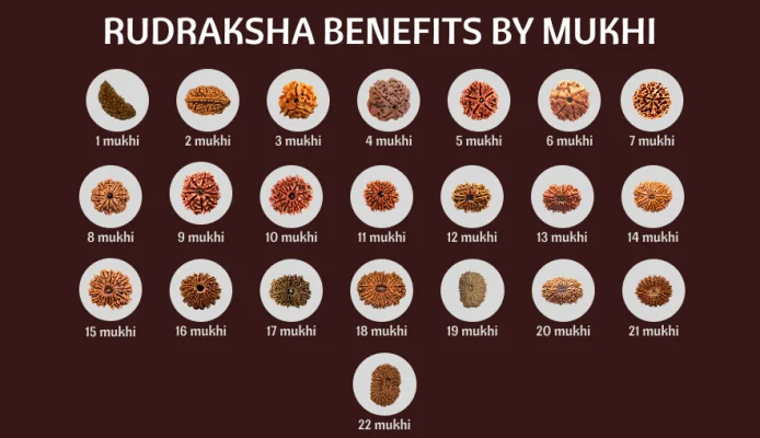 Rudraksha Benefits by Mukhi : 1 to 21 Mukhi for Spiritual Healing
