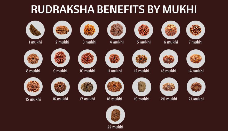 Rudraksha Benefits by Mukhi : 1 to 21 Mukhi for Spiritual Healing