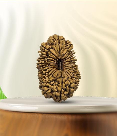 21 mukhi rudraksha our faq section